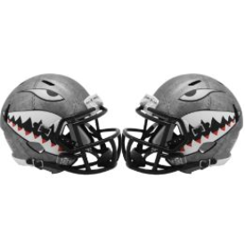 Licensed and Custom Full Size and Mini Football Helmets - HelmetNation